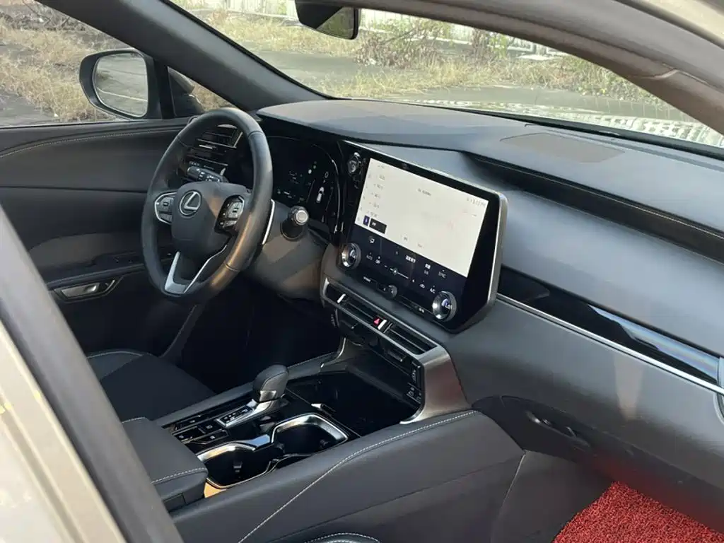 Фото 23 - Lexus RX