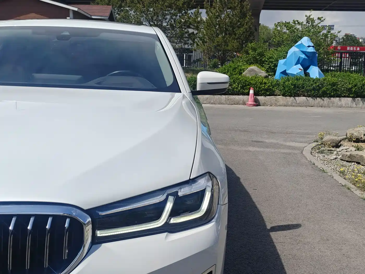 BMW 5 Series 2021 530Li Premium Luxury Package фото 4