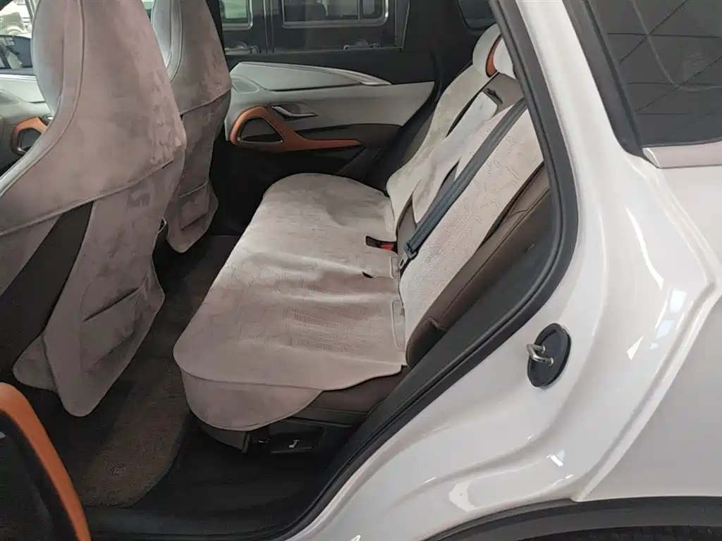 BYD Song Pro New Energy 2022 DM-i 51km Premium фото 17