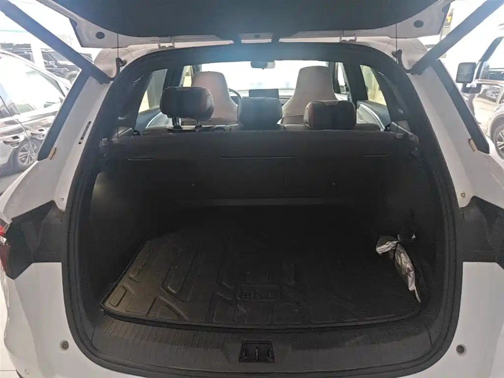 BYD Song Pro New Energy 2022 DM-i 51km Premium фото 19