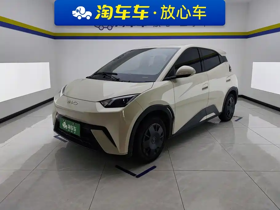 BYD Seagull 2024