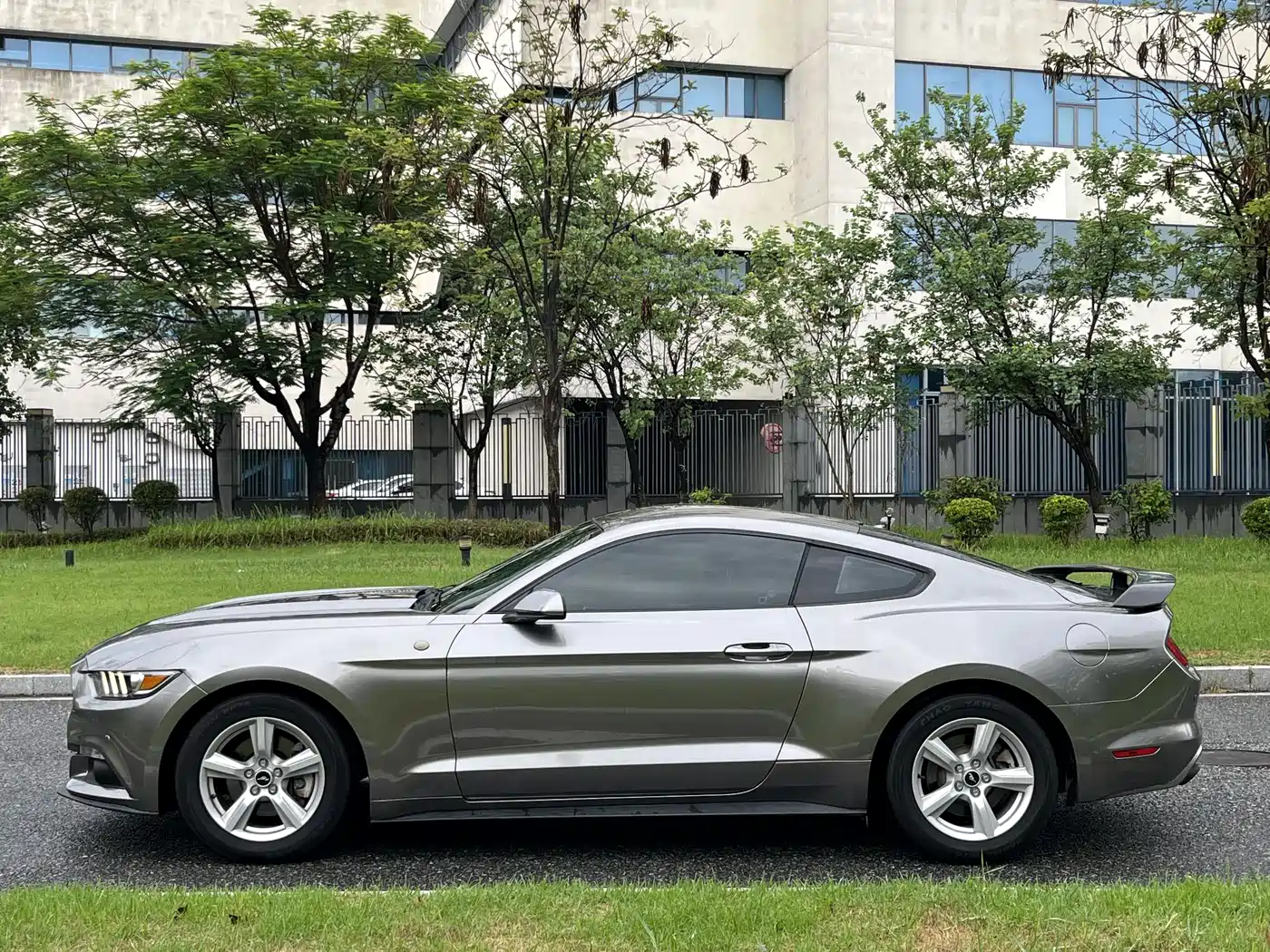 Ford Mustang 2015 2015 2.3T 50th Anniversary Edition
