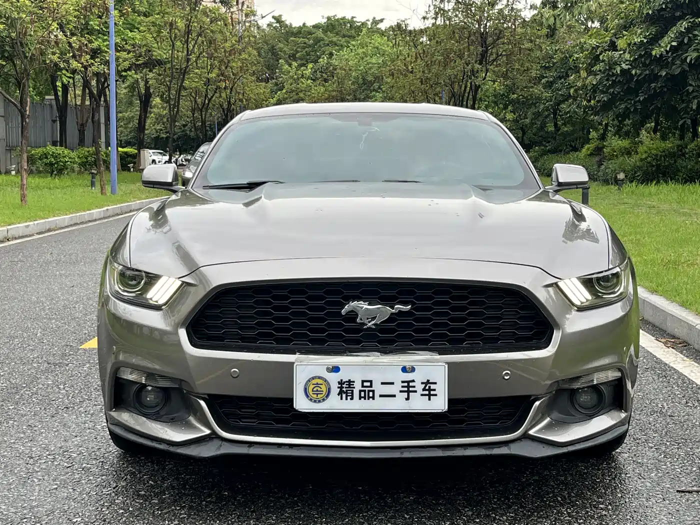 Ford Mustang 2015 2015 2.3T 50th Anniversary Edition