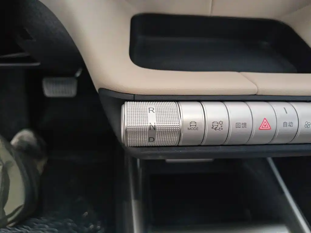 BYD Dolphin 2026 2025 420km Freedom Edition