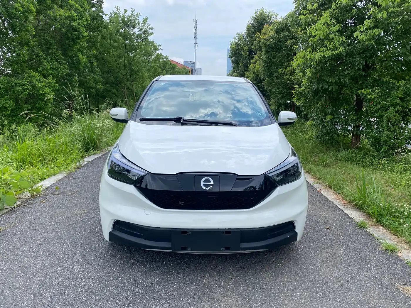 JMCG New Energy Yizhi EV3 2020 2019 Model Joy Run Version