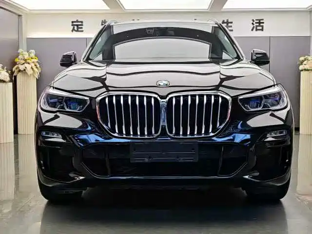 BMW X5 (Import) 2019 xDrive40i M Sport Package фото 2