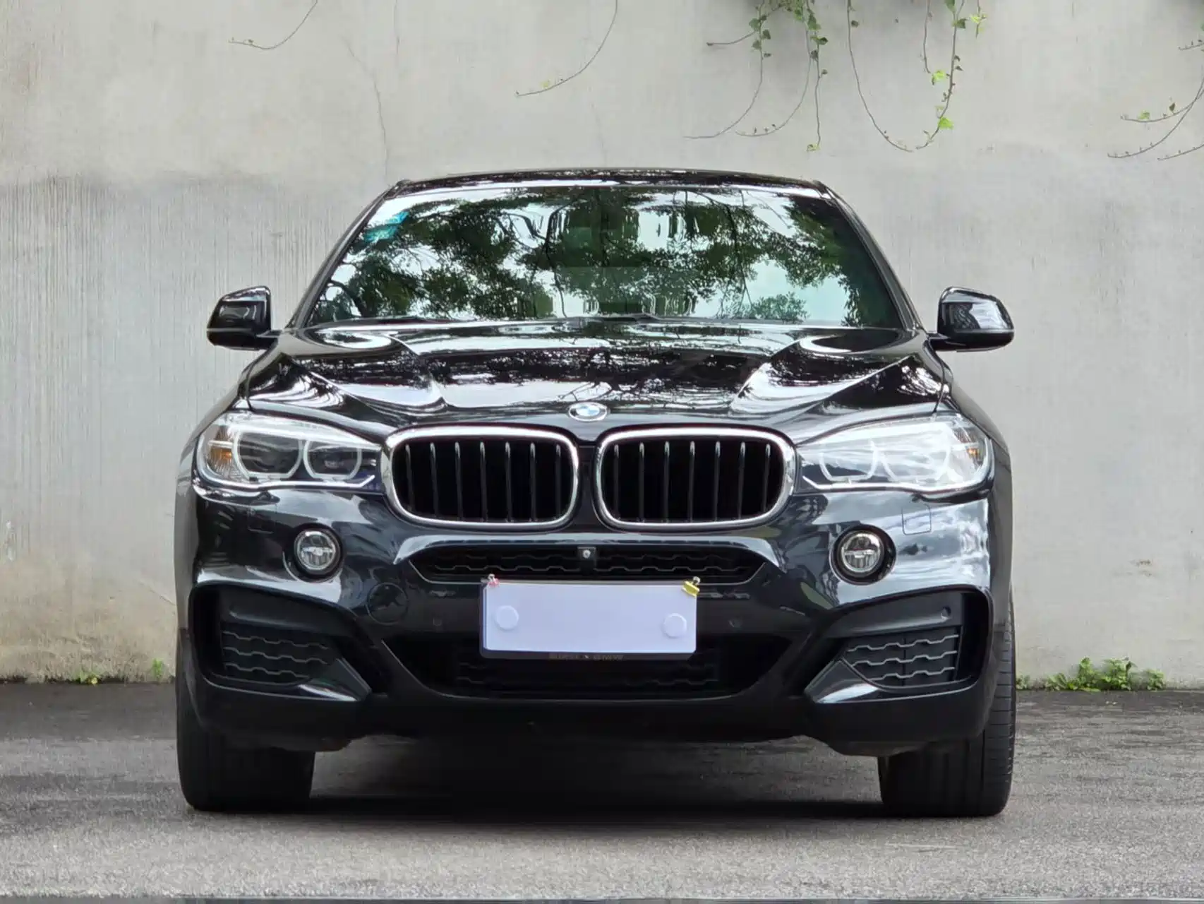 Фото 2 - BMW X6