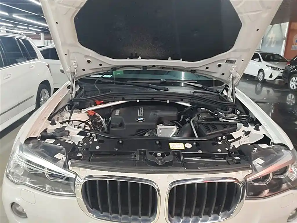 BMW X3 (Import) 2016 sDrive20i фото 20