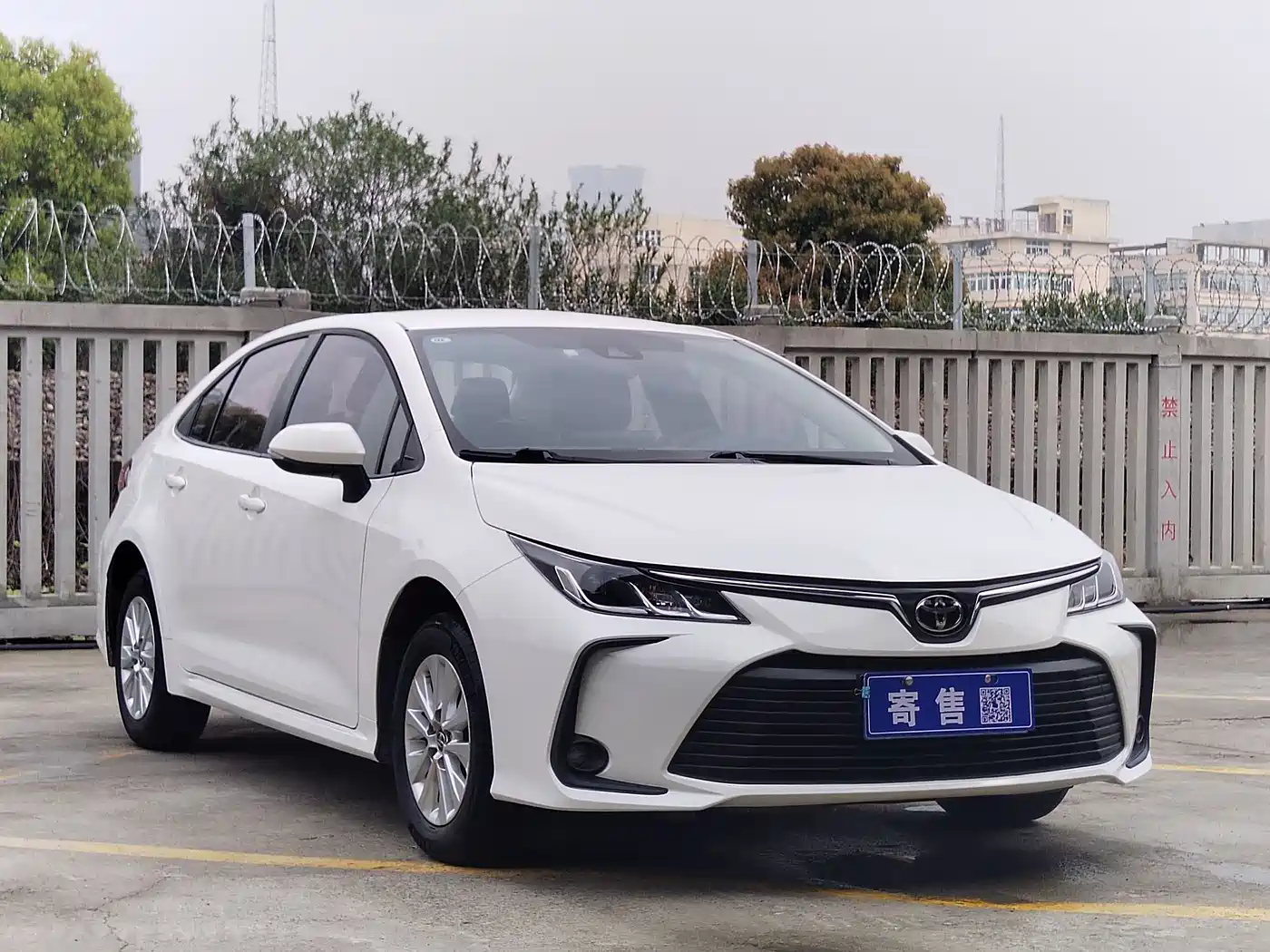 Toyota Corolla 2023 1.2T Pioneer Edition фото 3
