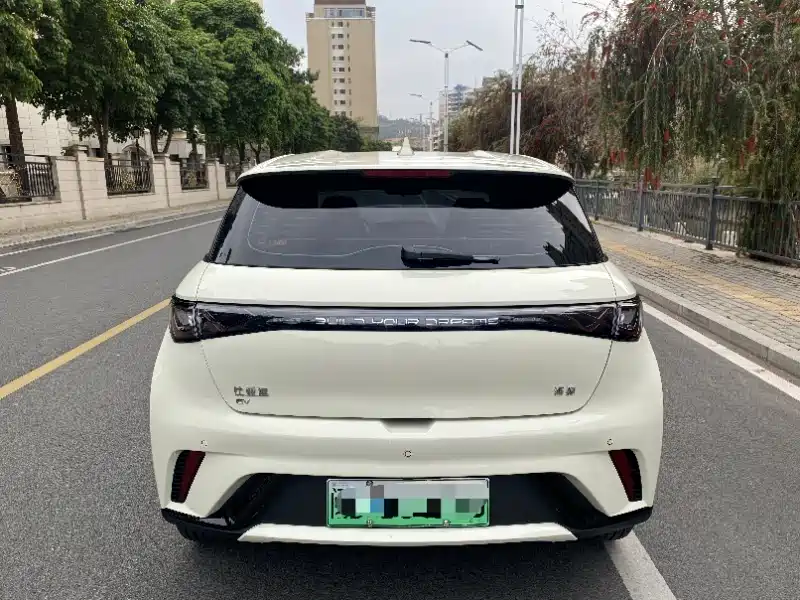 BYD DOLPHIN