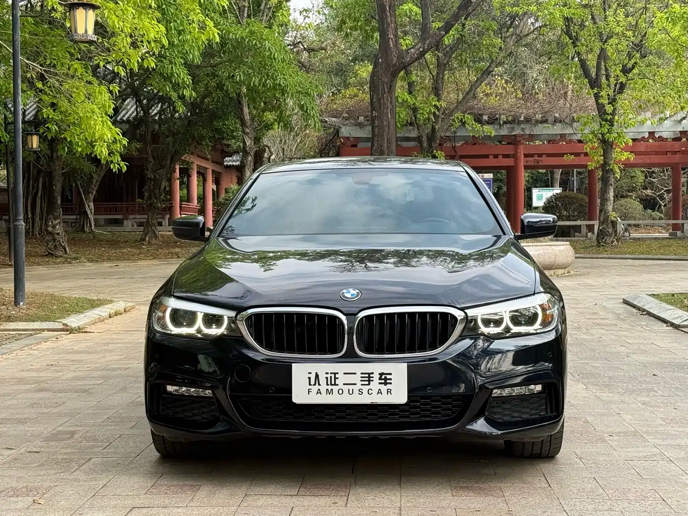 BMW 5 Series 2018 530Li Leading M Sport Package фото 2