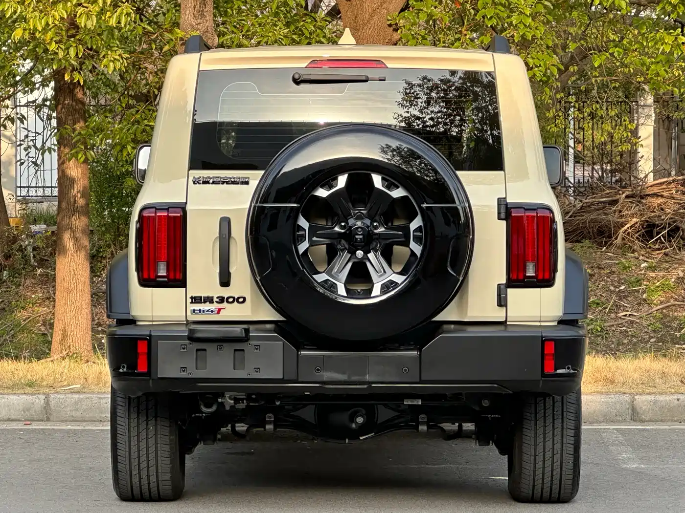 TANK TANK 300 NEW ENERGY