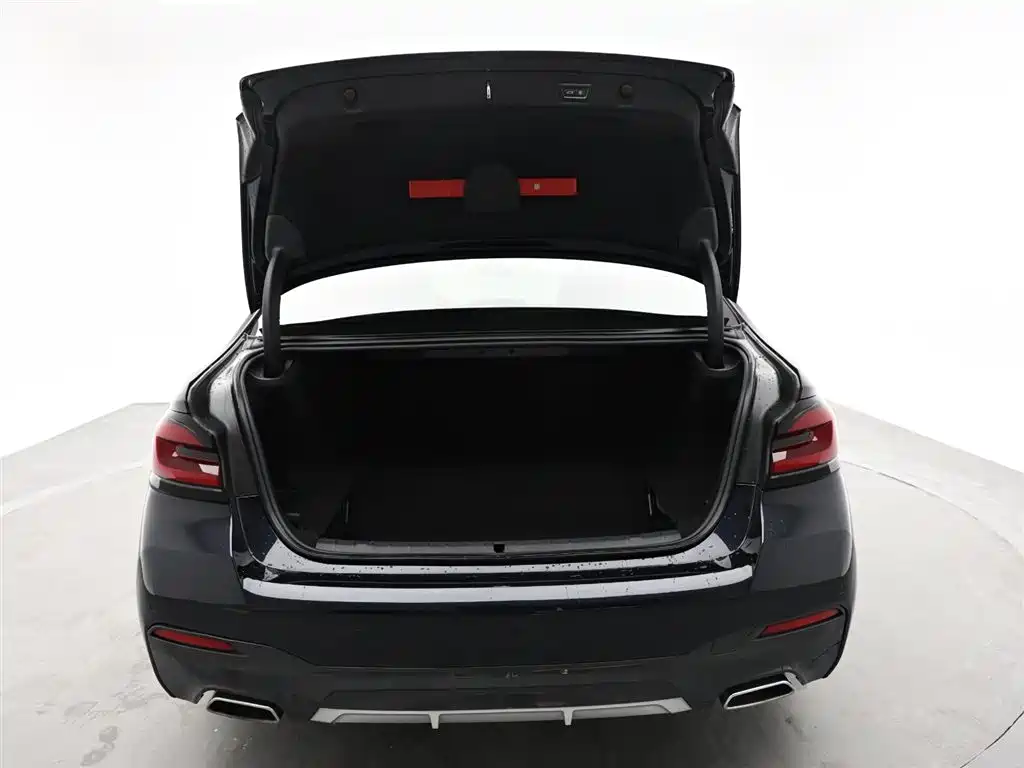 BMW 5 SERIES NEW ENERGY