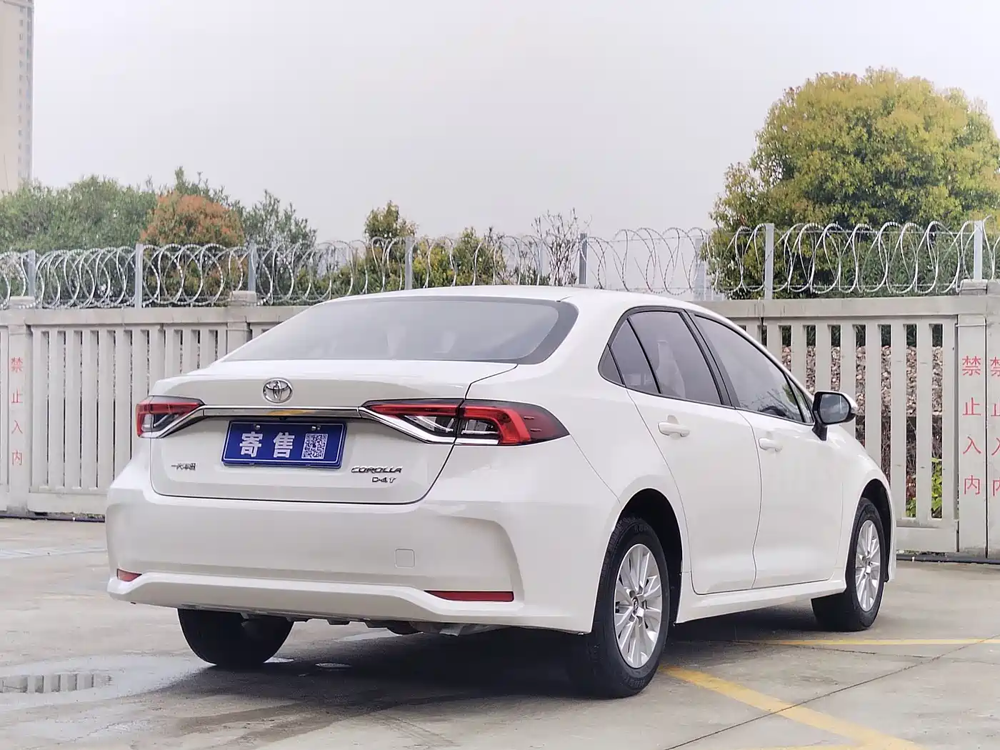 Toyota Corolla 2023 1.2T Pioneer Edition фото 7