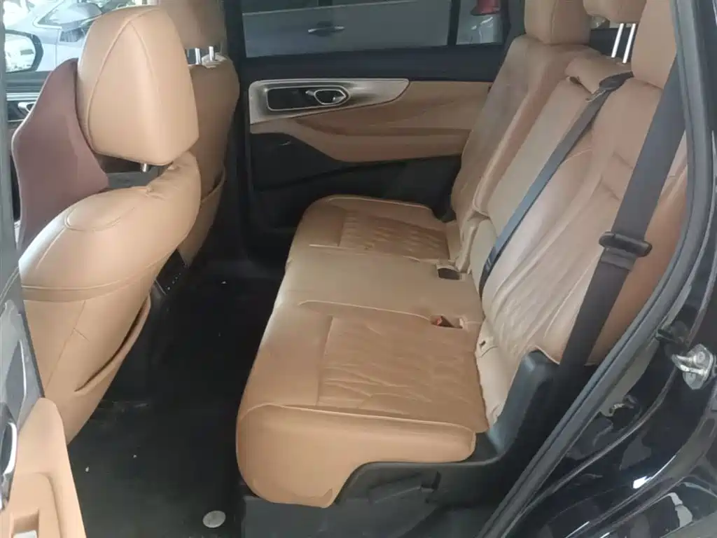 GAC Trumpchi Trumpchi GS8 2024 Navigator Series 2.0TGDI 2WD Luxury Smart Connect Edition фото 17