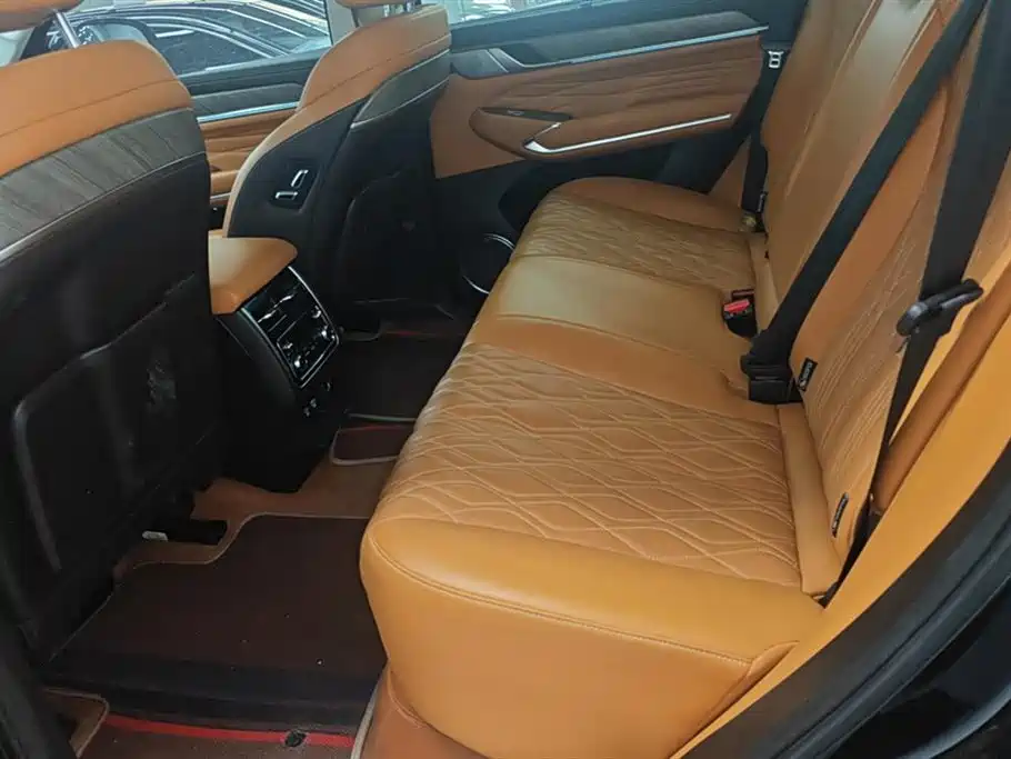 Tank 500 2022 3.0T Business Edition Zaojing 5-Seater фото 10