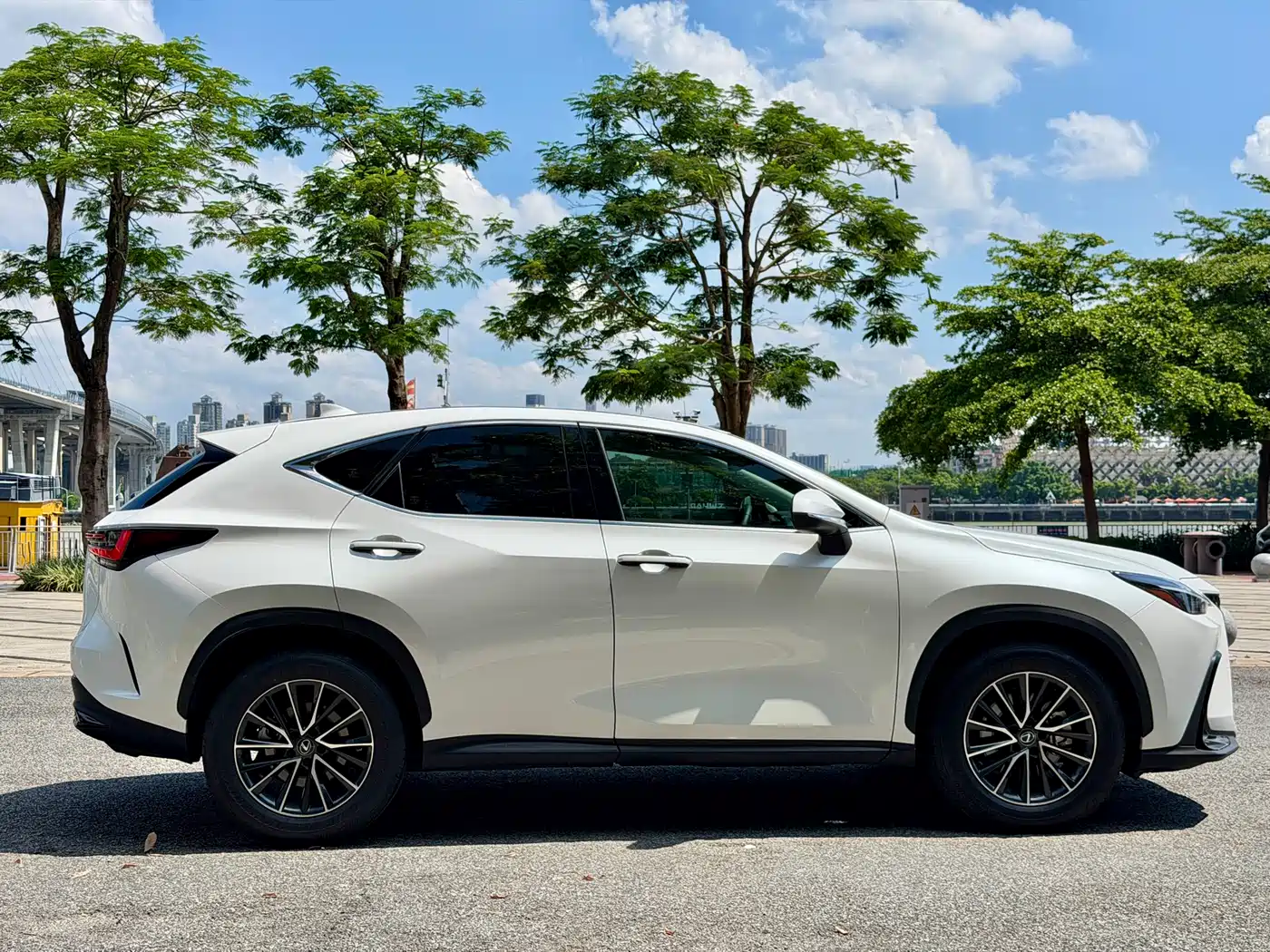 Lexus NX 2024 2024 260 FWD Joy Creation Edition