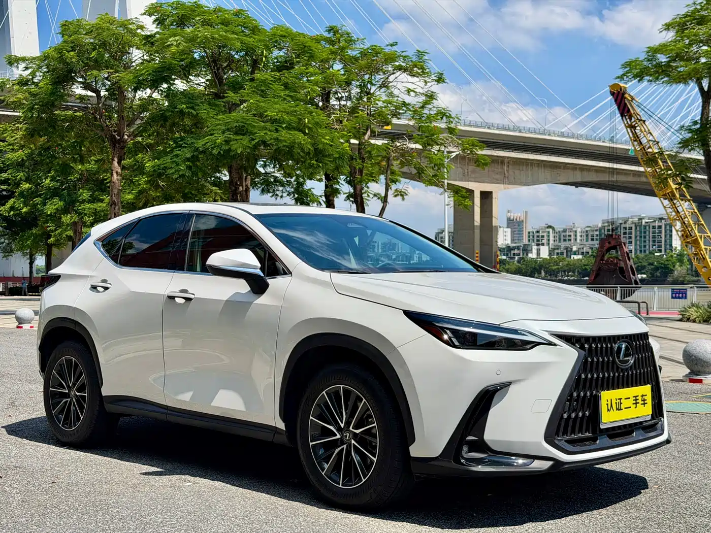 Lexus NX 2024 2024 260 FWD Joy Creation Edition