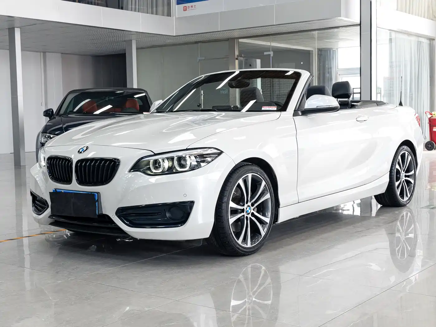 BMW 2 Series (Import) 2019 225i Convertible Coupe Sport Design Package