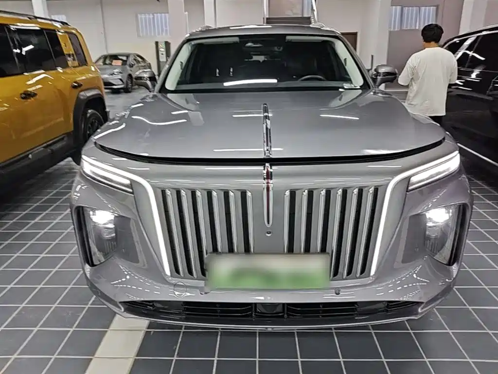 Hongqi E-HS9 2022 660km Qi Chang Edition (6-seater) фото 3