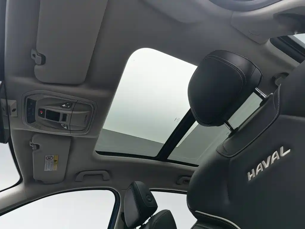Haval First Love 2021 2021 1.5T Automatic Premium Edition