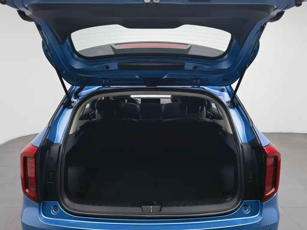Haval First Love 2021 2021 1.5T Automatic Premium Edition