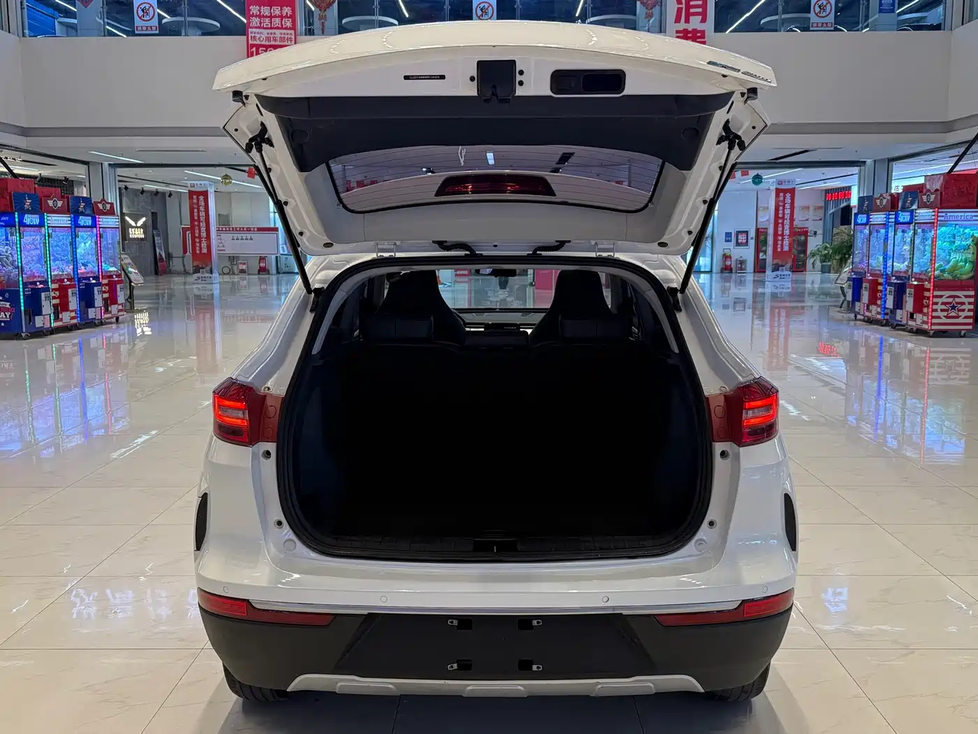 Weltmeister WEIMA EX5