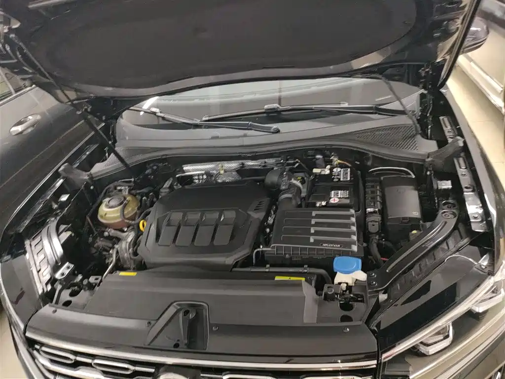 VOLKSWAGEN TANYUE