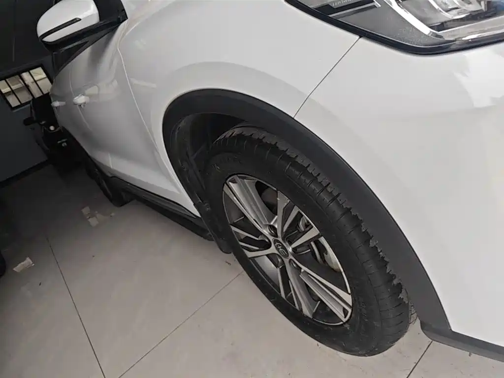 BYD Song Pro New Energy 2022 DM-i 51km Premium фото 21
