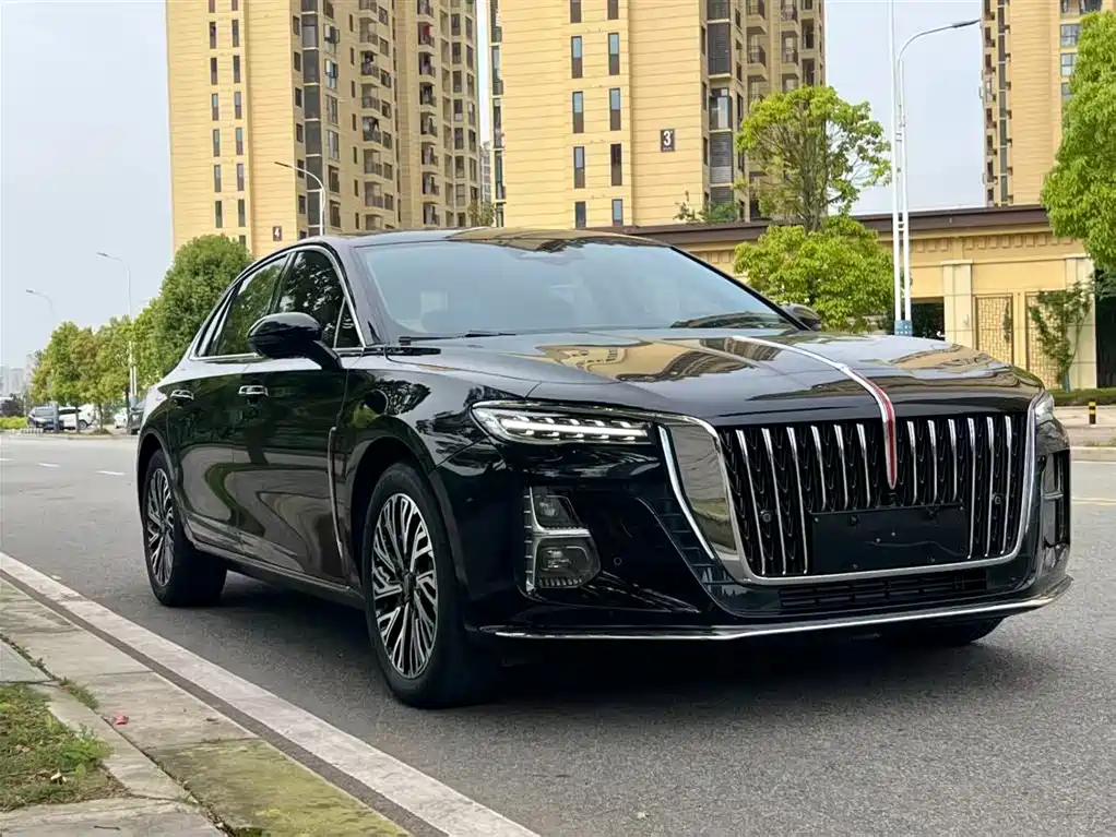Hongqi H5 2023 2.0T Auto Smart Connect Flag Comfort фото 3