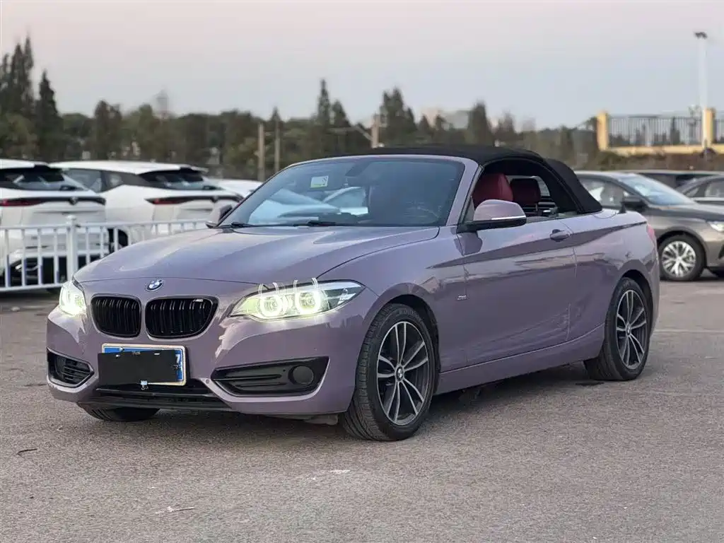 BMW 2 Series (Import) 2018 220i Convertible Coupe Sport Design Package фото 24