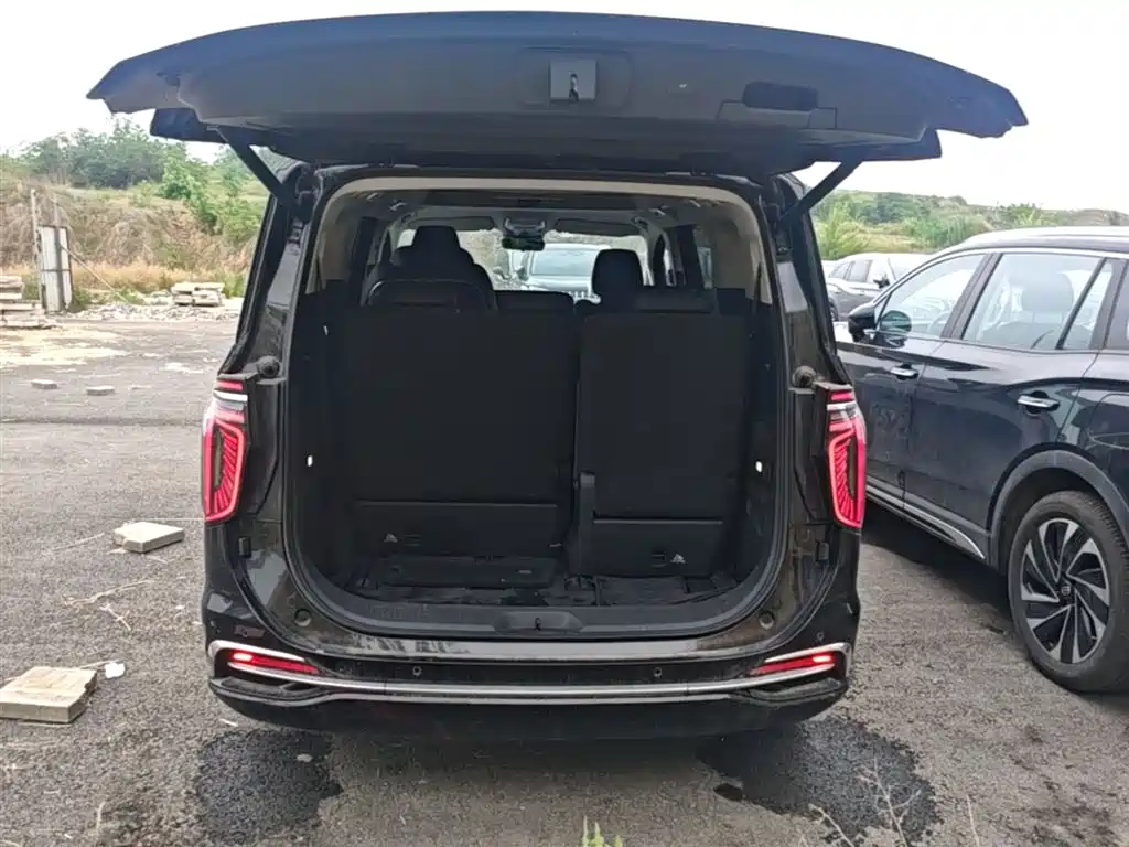 Hongqi HQ9 PHEV 2024 Model 2.0T AWD Business Edition фото 19