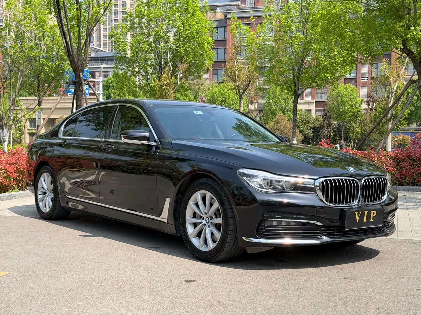 BMW 7 Series 2017 730Li Leading Edition фото 3