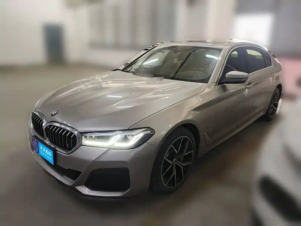 BMW 5 Series 2021 530Li Premium M Sport Package