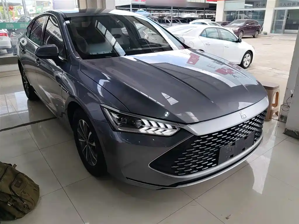 BYD Qin PLUS 2024 Glory Edition DM-i 55KM Leading фото 4