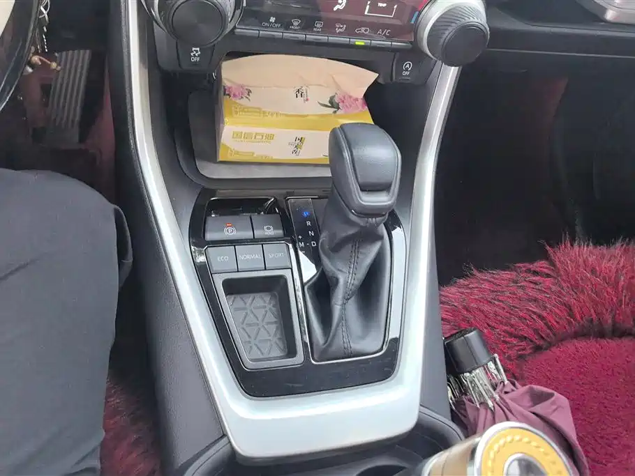 Toyota RAV4 Rongfang 2024 2.0L CVT FWD Urban Edition фото 16