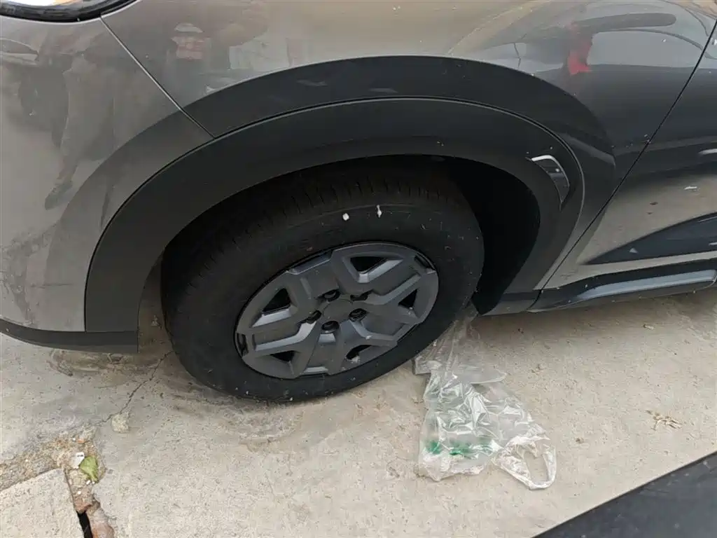 BYD Yuan UP 2025 Model 301KM Navigator фото 23