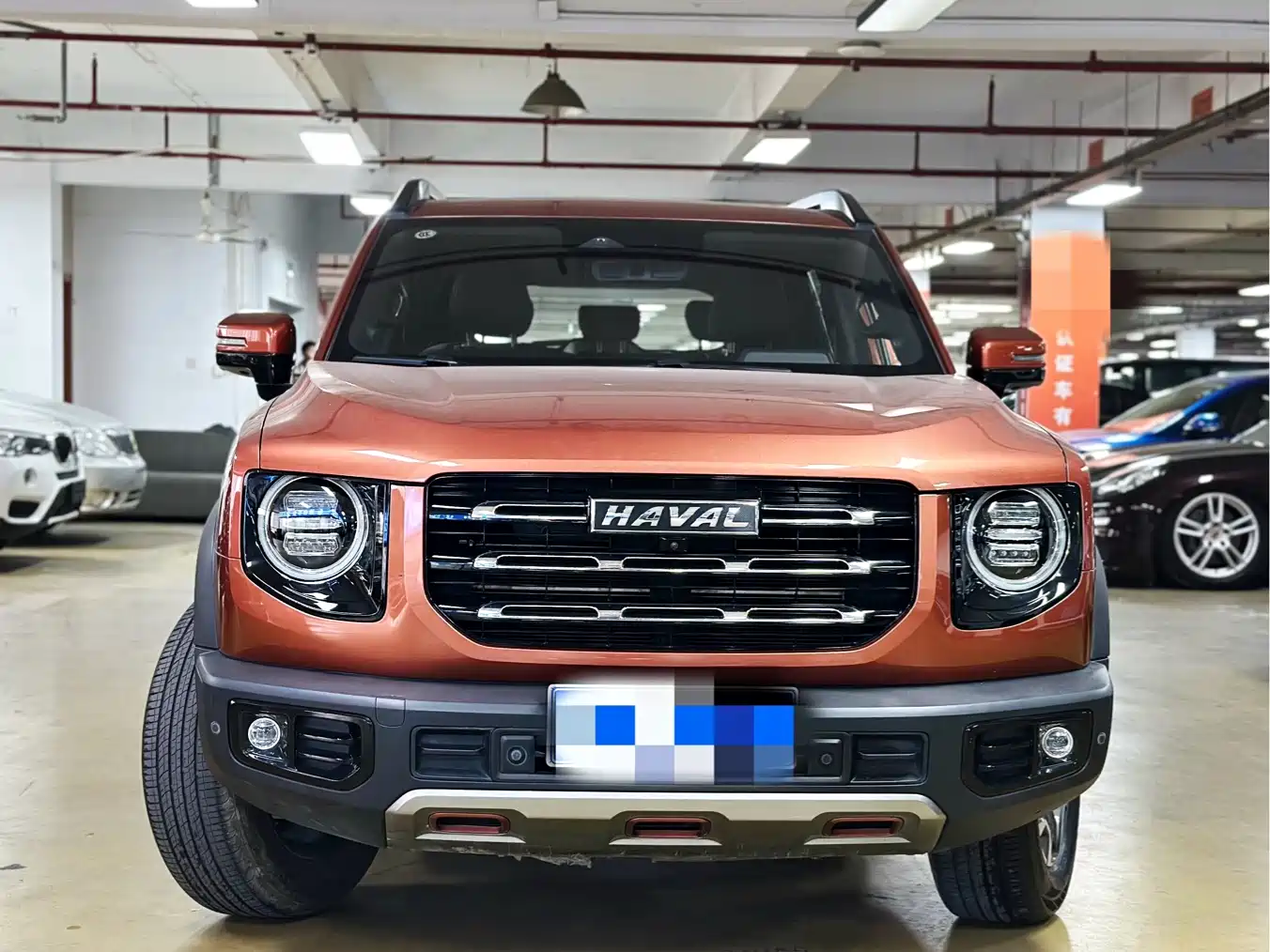 HAVAL BIG DOG
