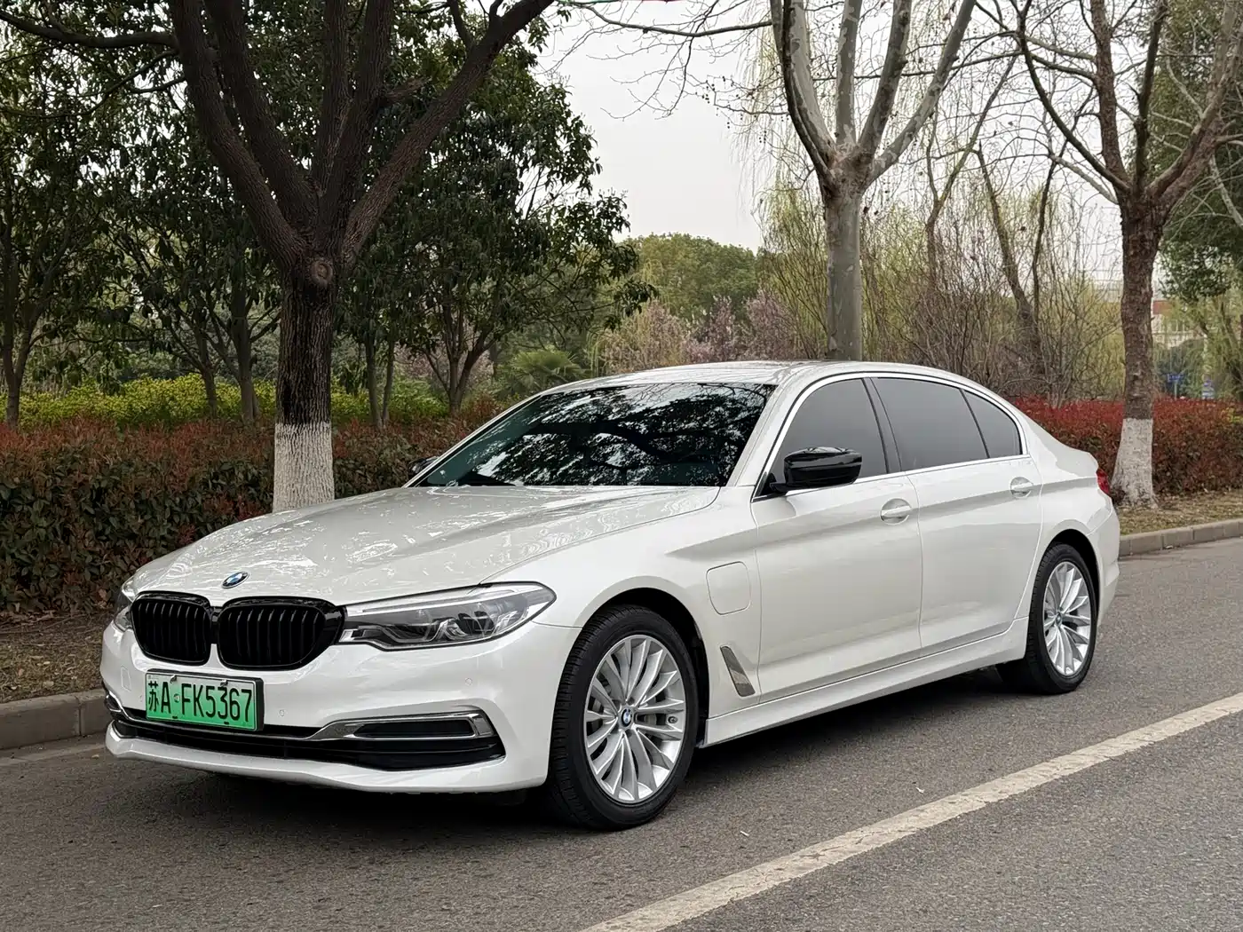 BMW 5 SERIES NEW ENERGY