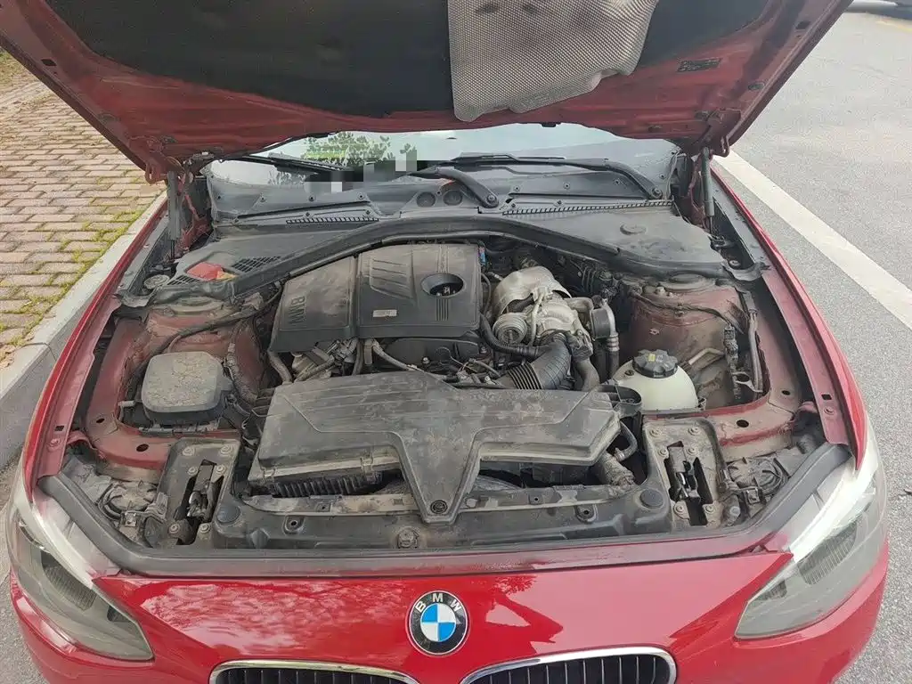 BMW 1 Series (Import) 2013 Facelift 116i Leading Model фото 11