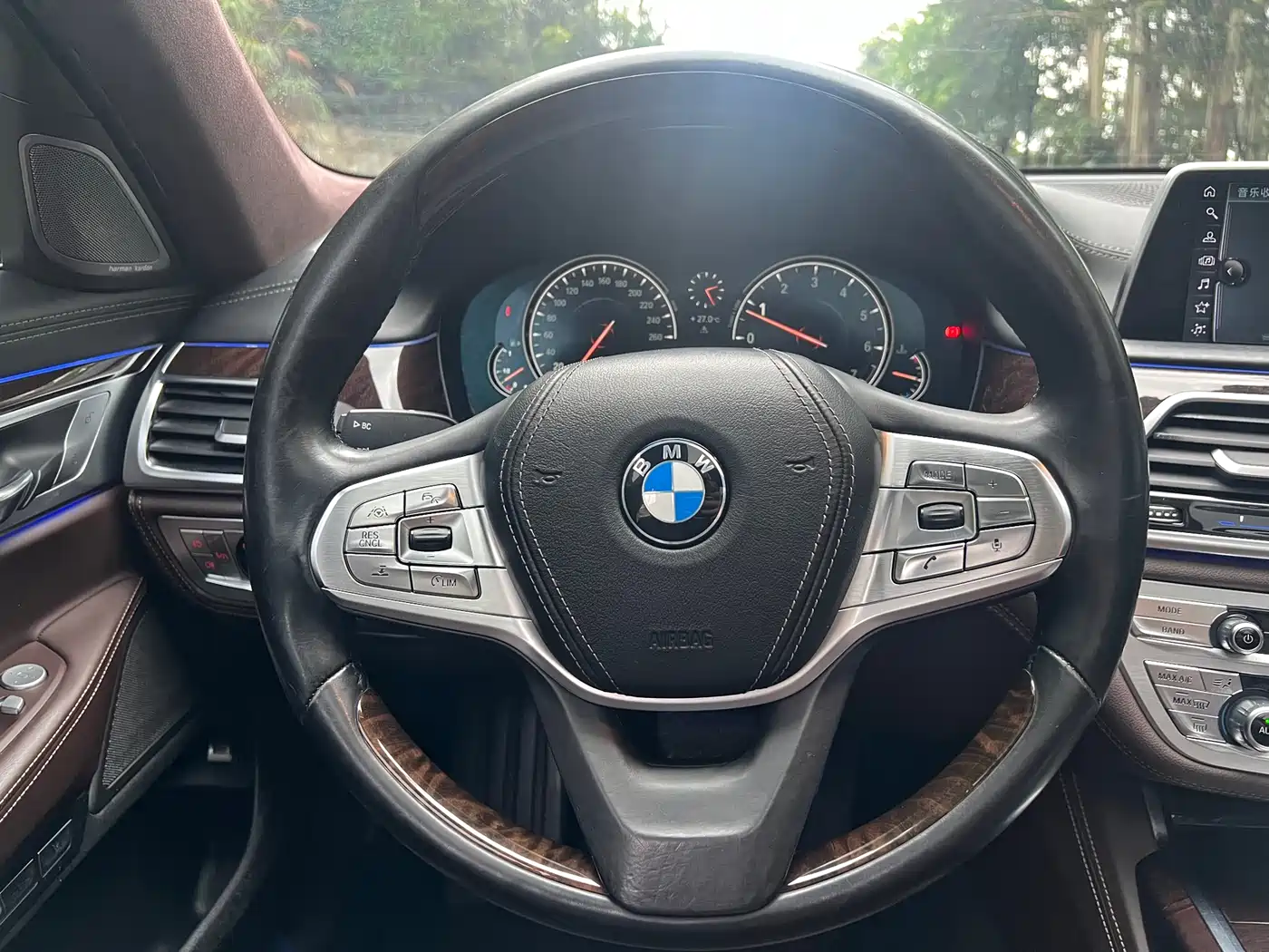 BMW 7 Series 2016 740Li Luxury фото 15