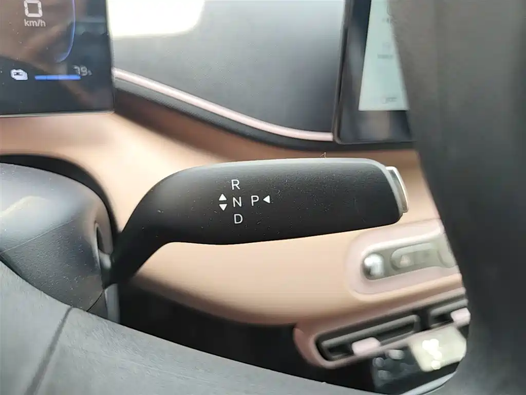 BYD Seagull 2025 Smart Drive Edition 305km Vitality Version фото 14