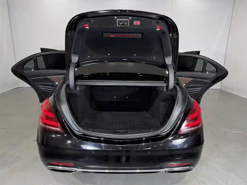 Mercedes-Benz S-Class 2018 S 450 L 4MATIC Excellence Special Edition фото 15