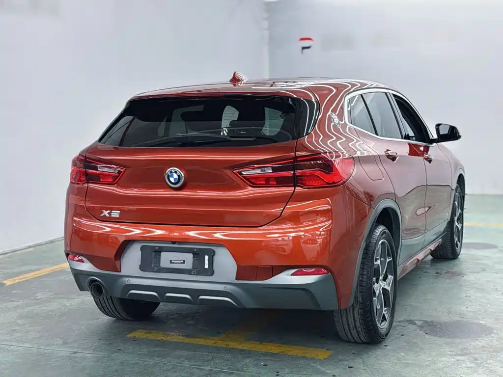 BMW X2 (Import) 2019 2019 sDrive20i M Off-Road Package China VI