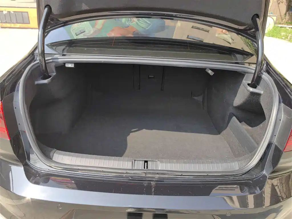 Volkswagen Magotan 2020 330TSI DSG Luxury фото 13