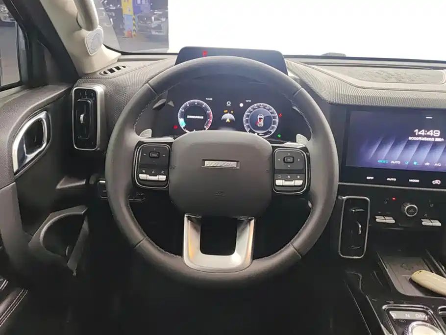 Haval Big Dog 2021 1.5T DCT 2WD Border Collie Edition фото 15