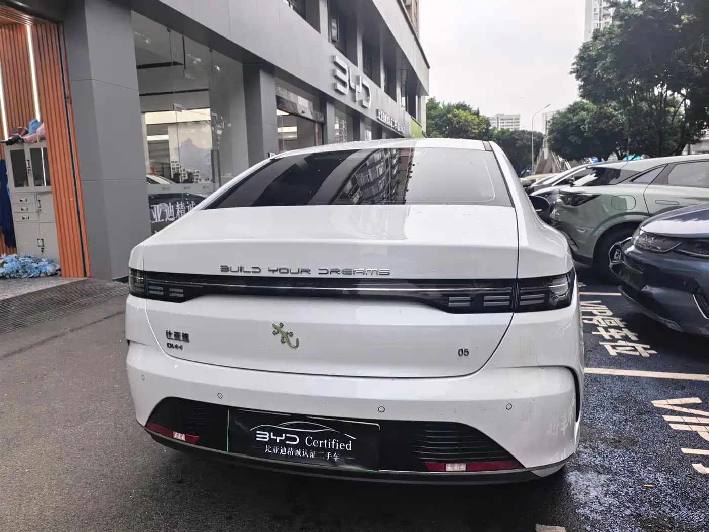 BYD Destroyer 05 2024 Glory Edition DM-i 120KM Luxury фото 9