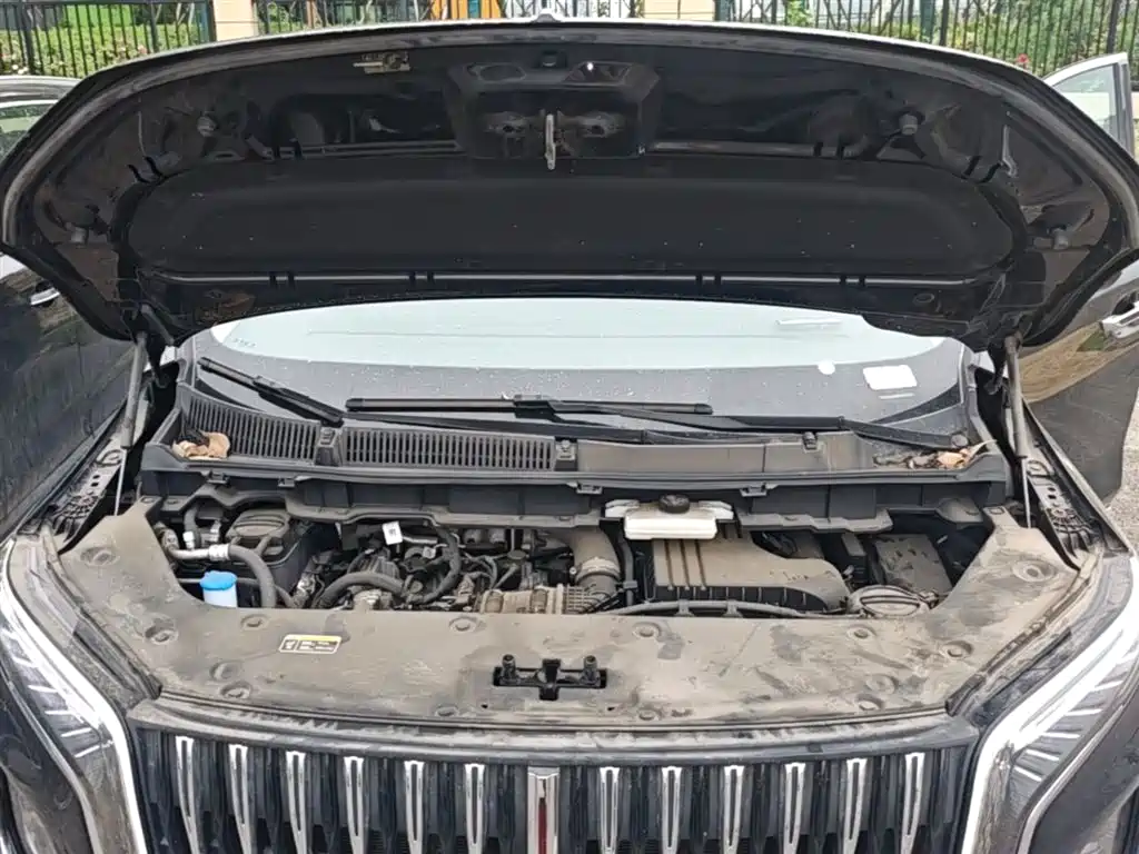 Hongqi HQ9 PHEV 2024 Model 2.0T AWD Business Edition фото 20