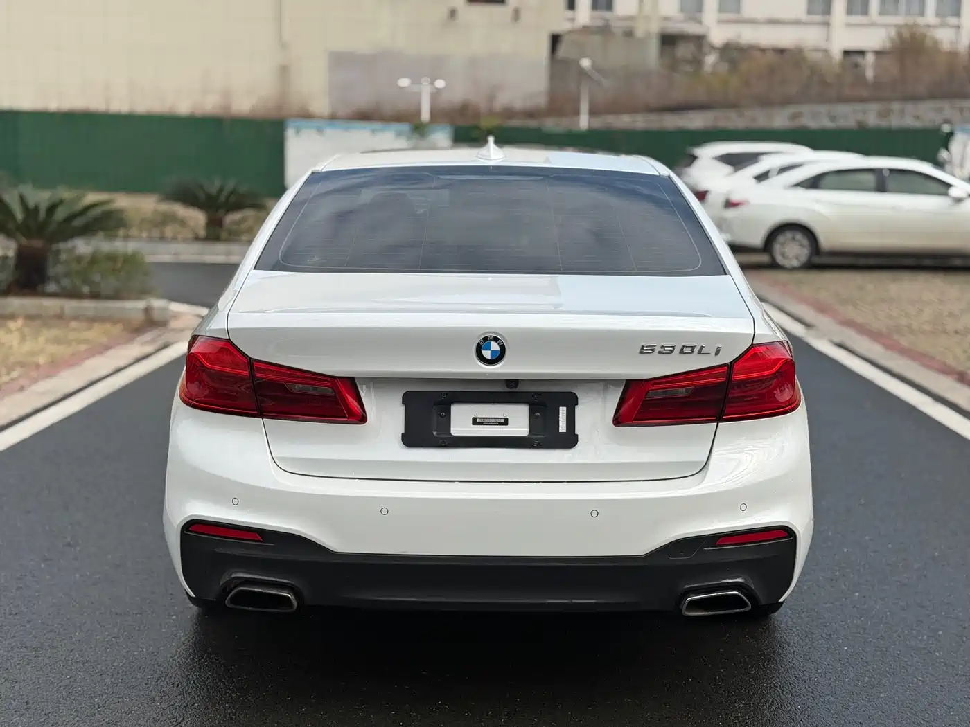 BMW 5 Series 2019 530Li Leading M Sport Package фото 8