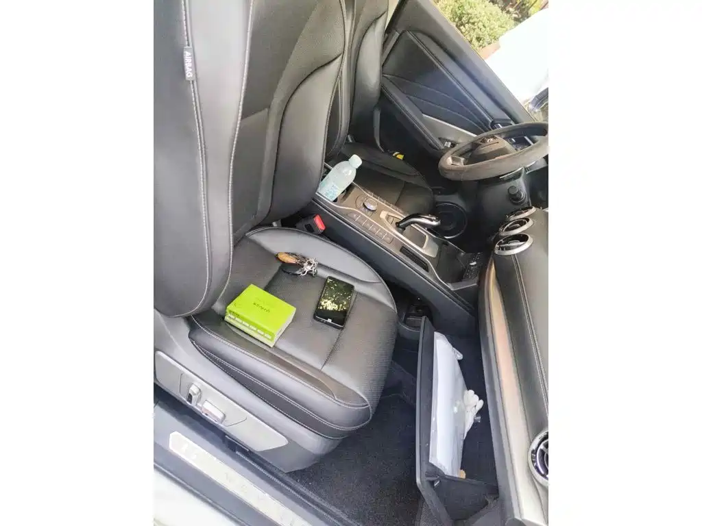 WEY VV6 2020 2021 2.0T 2WD Smart Protection+